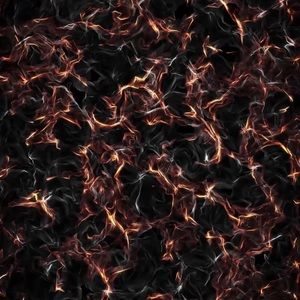 Meet your Posher, Nirvely